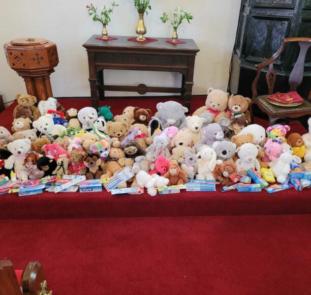 Toy Appeal 3
